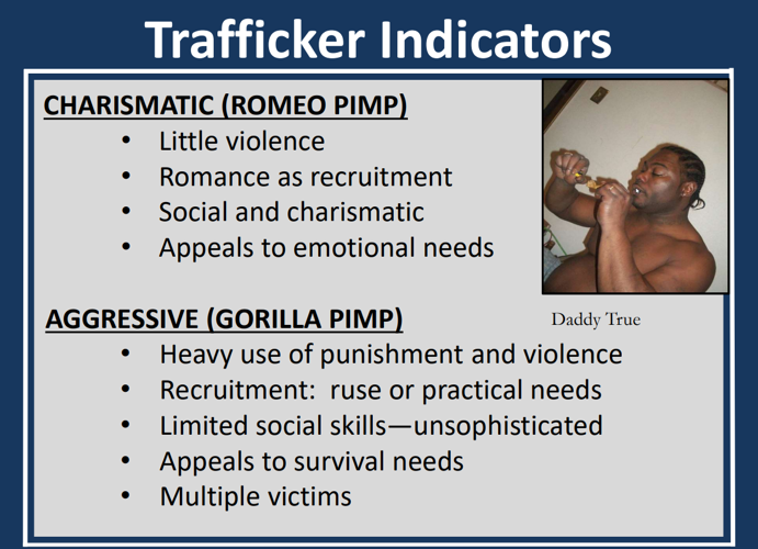 traffic indicators.png