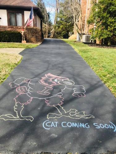 PLAINVIEW - CHALK DRAWINGS - IMAGES BILL HALL  (10).jpg