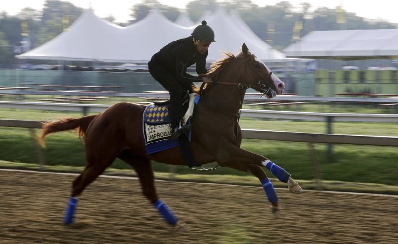 Improbable runs during Preakness training