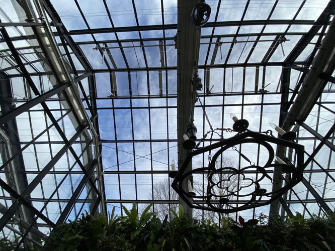 Photo Jan 23, 12 24 55 PM.jpg