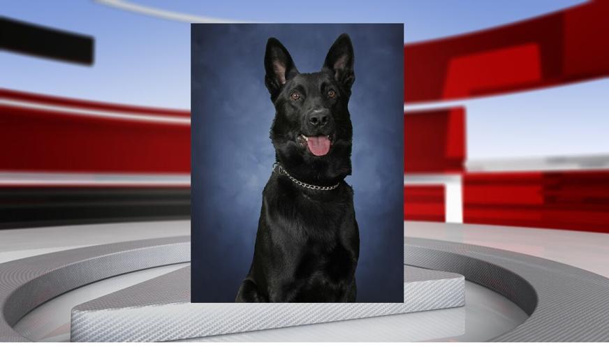 Axel K9.jpg