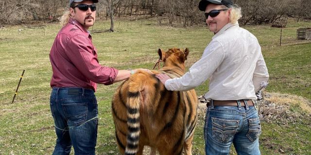 TIGER KING COW- VIA FOX NEWS 4-20-2020 2 .jpg