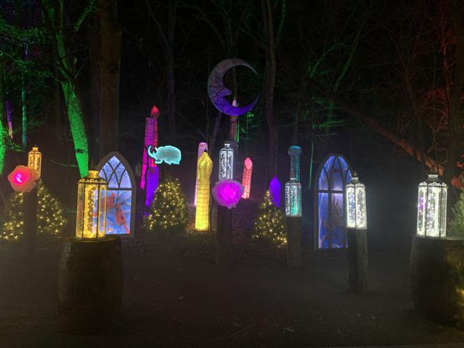 Winter Woods Spectacular (18).JPG