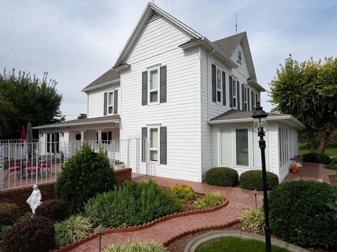 Uncle Joe's Bird Nest-5