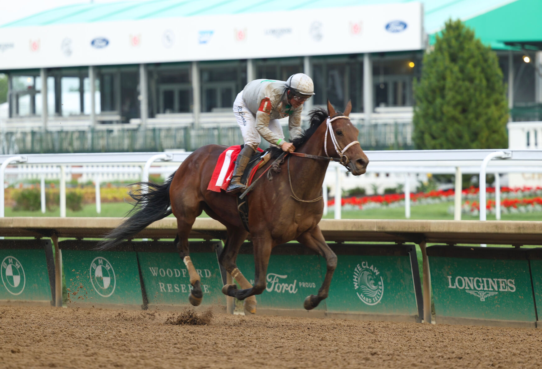 Horse closes a race at Churchill Downs.JPG