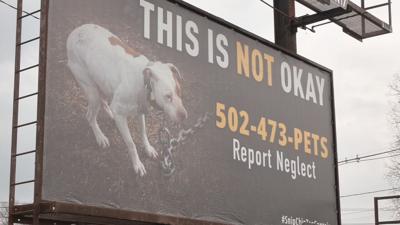 Animal cruelty awareness billboard