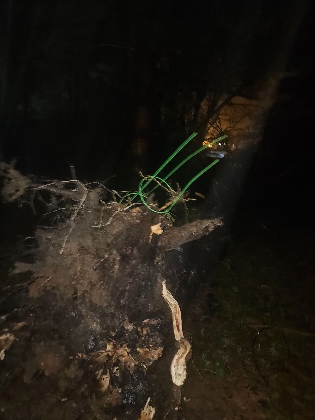 Viewer photo of storms - 4.3.25