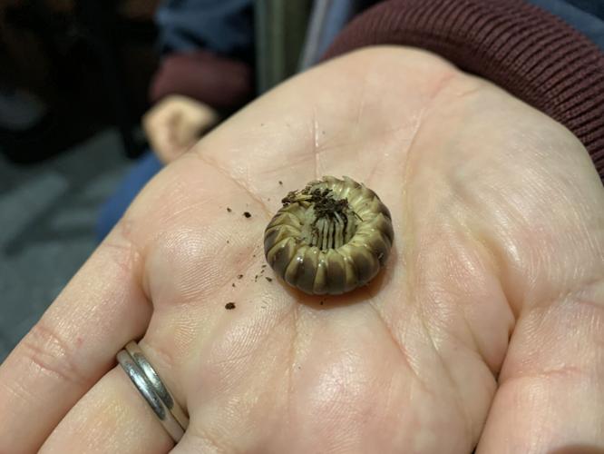 Kentucky Science Center Spooky Halloween