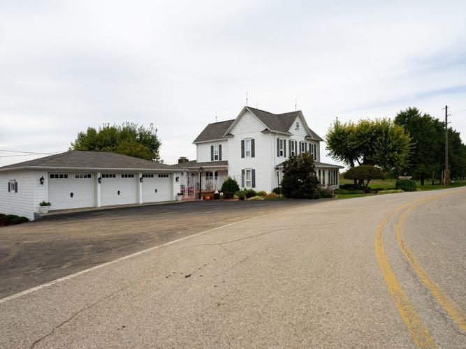 Uncle Joe's Bird Nest-2