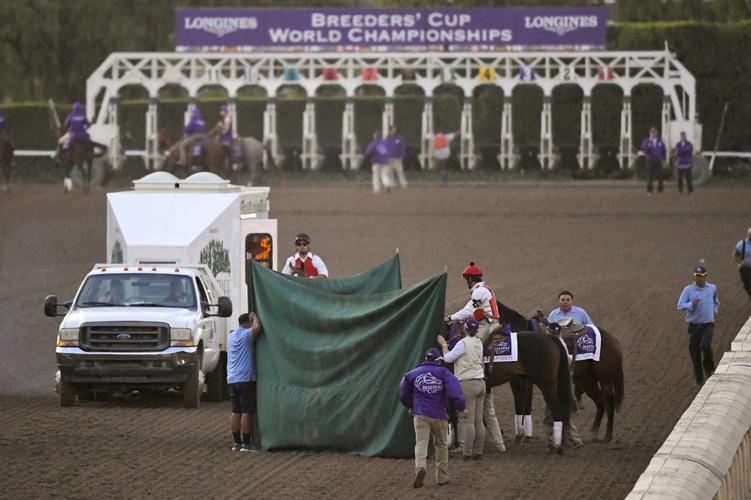 Breeders Cup Death 11-2-19 AP.jpeg
