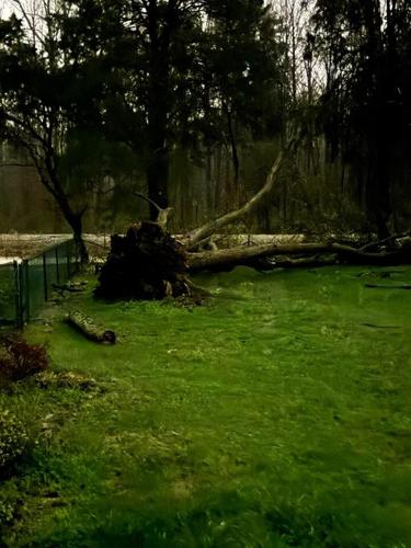 Viewer photo of storms - 4.3.25