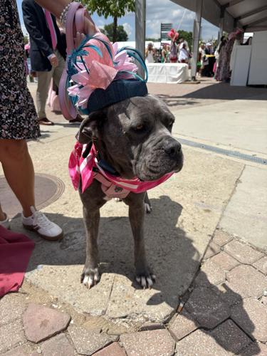Kentucky Oaks 2026