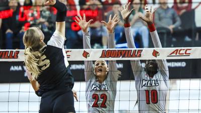 Louisville volleyball