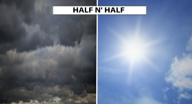 half n half.png