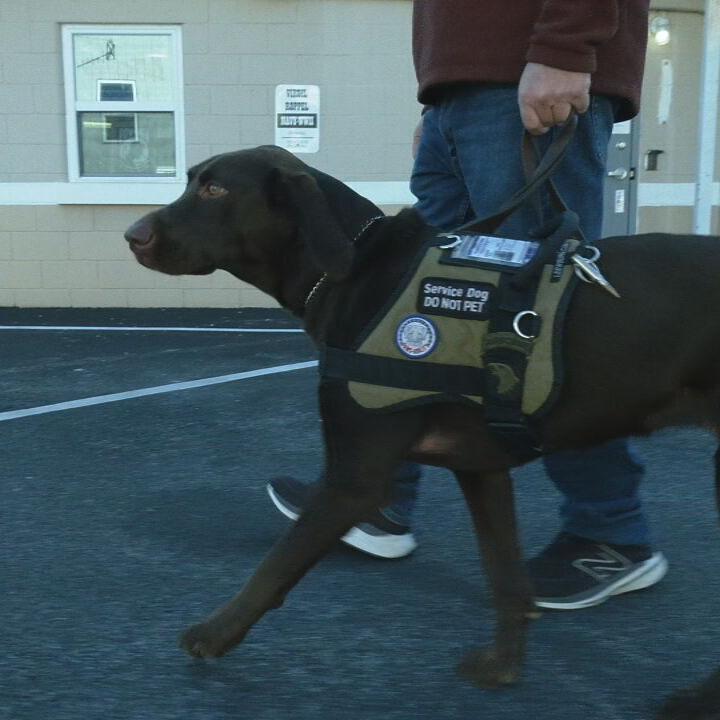 Getting furry support: Louisville woman gets diabetic service dog, Community