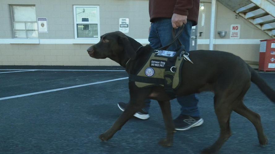 PAWS-ABILITY VETERAN SUPPORT DOGS - 2-3-2023 (5).jpeg