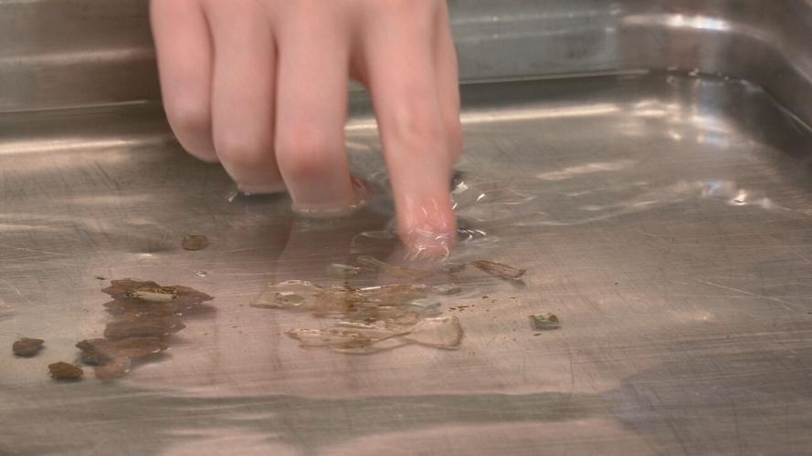 KSB students archeological dig