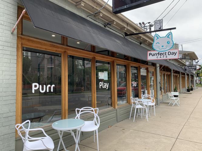 Purrfect Day Cafe