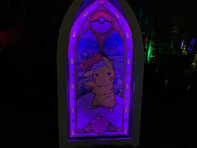 Winter Woods Spectacular (19).JPG