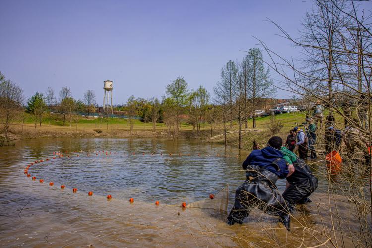 Buffalo Trace Fish Rescue (3).jpg