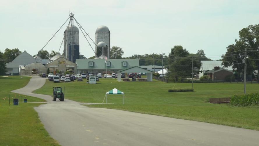 GALLREIN SUNFLOWER FESTIVAL
