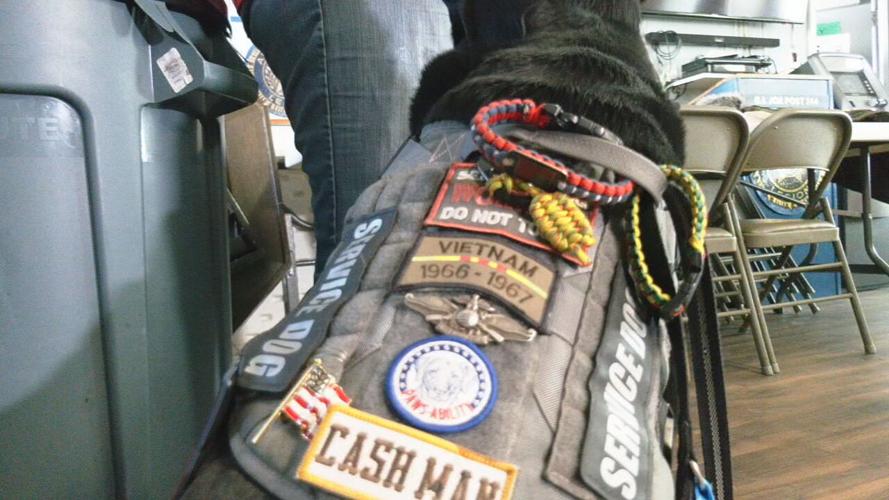 PAWS-ABILITY VETERAN SUPPORT DOGS - 2-3-2023 (2).jpeg