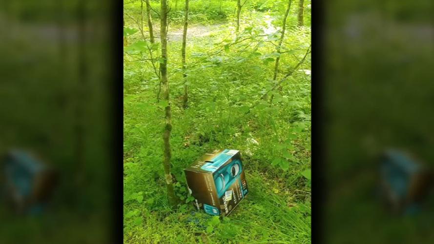 PUPPIES TOSSED IN RAVINE 6PKG.transfer_frame_1886.jpg