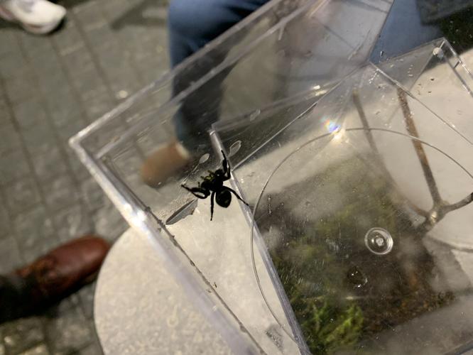 Kentucky Science Center Spooky Halloween