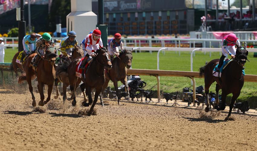 Jockey looks back during race.JPG