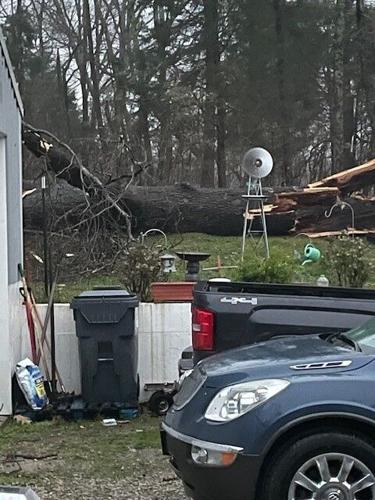 Trees down in Brandenburg - 4-13-22