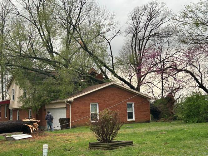 Tree on house in Jeffersonville, Ind on 4.2.24