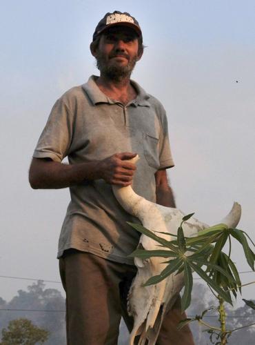 livestock farmer brazil ap.jpeg
