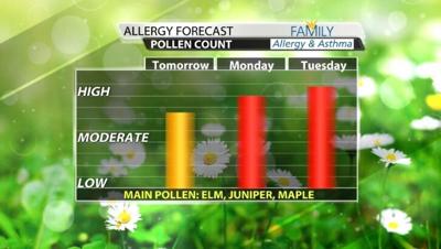 pollen count.jpg