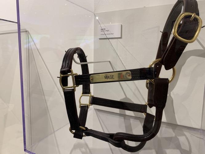 Mage Exhibit at Kentucky Derby Museum