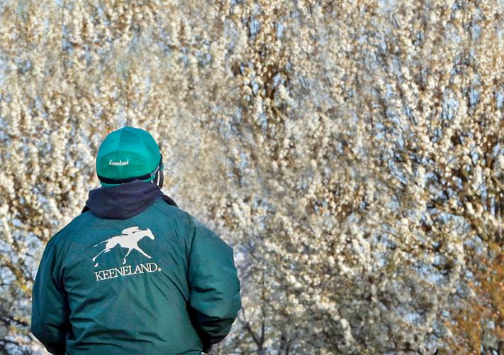 Scenics, 2022 Keeneland Spring Meet