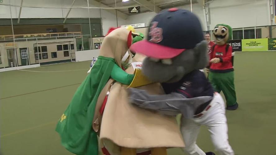 Mascot Bowl XV tackle