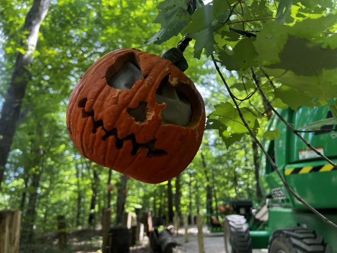 Foam pumpkins hang in trees among carved intricate pumpkins for Jack O'Lantern Spectacular