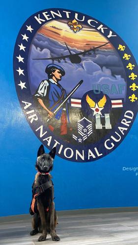 Kentucky Air National Guard Search and Rescue K-9 Callie