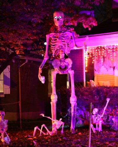 Large skeleton on Hillcrest.JPG