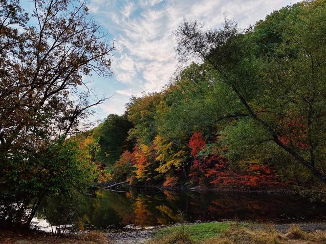 Jefferson Memorial Forest.jpg