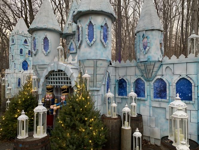 Winter Woods Spectacular (20).JPG