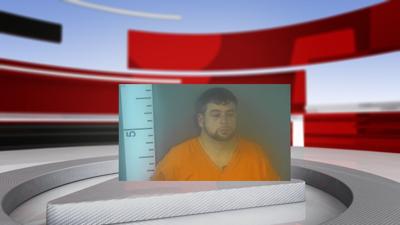 Ramie Palmerton mugshot.jpg