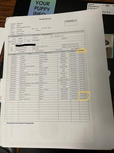 Vaccination paperwork for Kairi