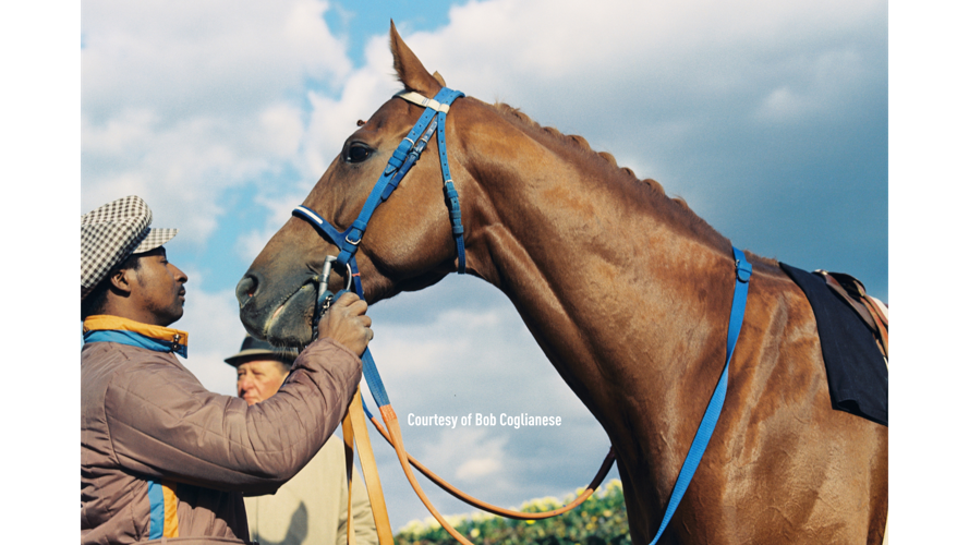 Top 5 Derby moments 2