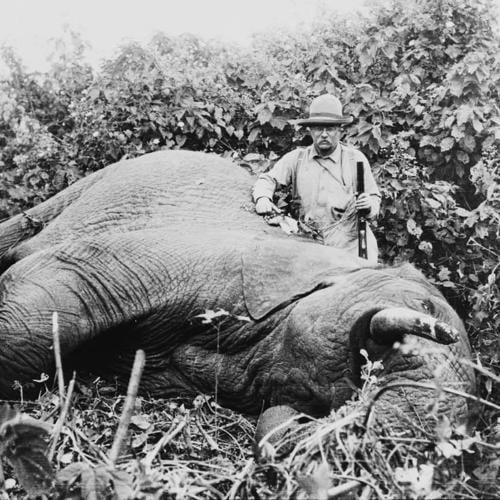 Teddy-Roosevelt-Laughing-1910-e1539722671345 - library of congress.jpg
