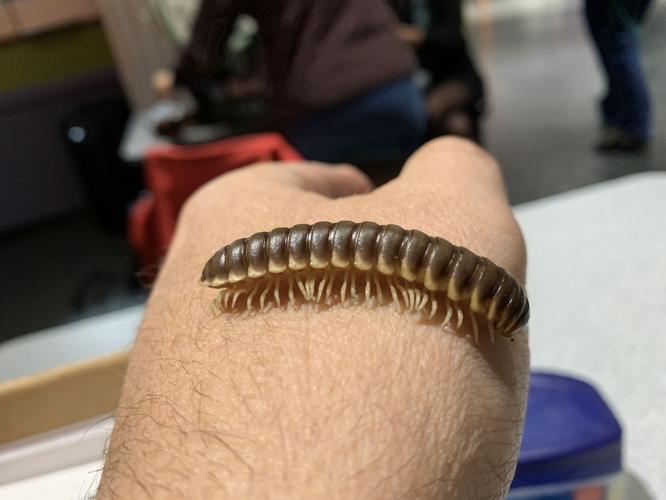 Kentucky Science Center Spooky Halloween