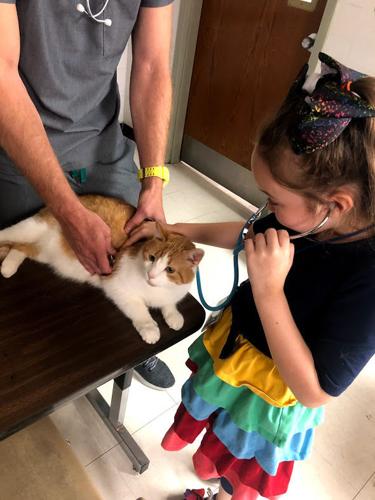 Summer Backpack League cat stethoscope.jpg
