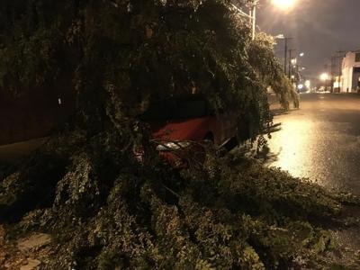 Metro Louisville announces drop-off locations for storm debris