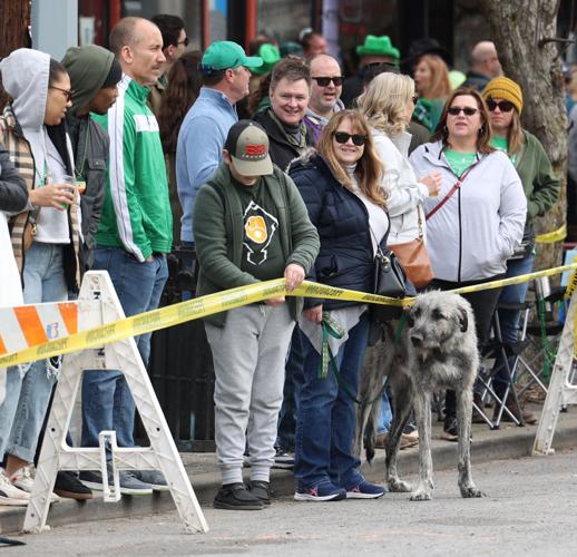 Dog and crowd wait for the parade