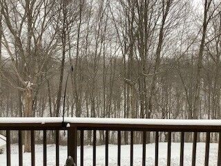 Snow in Floyds Knobs.jpg